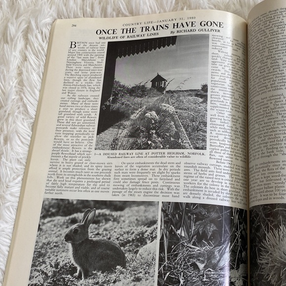 COUNTRY LIFE MAGAZINE - January 31, 1980 - Picture 8 of 12